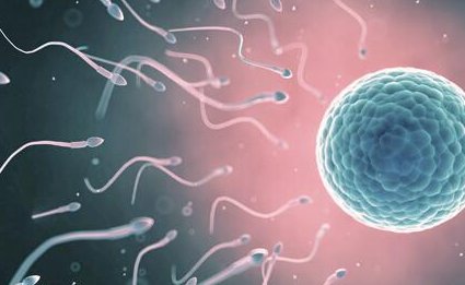 初次做试管婴儿促排卵的时间是什么时候？