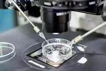 扬州三代试管婴儿移植成功率比较好的医院成功率是多少？