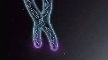 腺肌症试管移植前调理方法分享，这些技巧你得get到