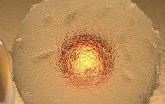 大连试管婴儿的医院（大连试管婴儿的医院有哪些）