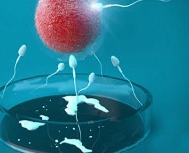 2026年领结婚证之前可以拒绝婚检吗？